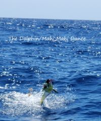 An Awesome Day on the Water...